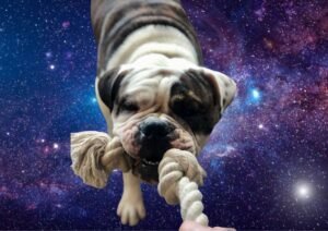 la-plaza-ciencia-de-qué-está-hecha-la-materia